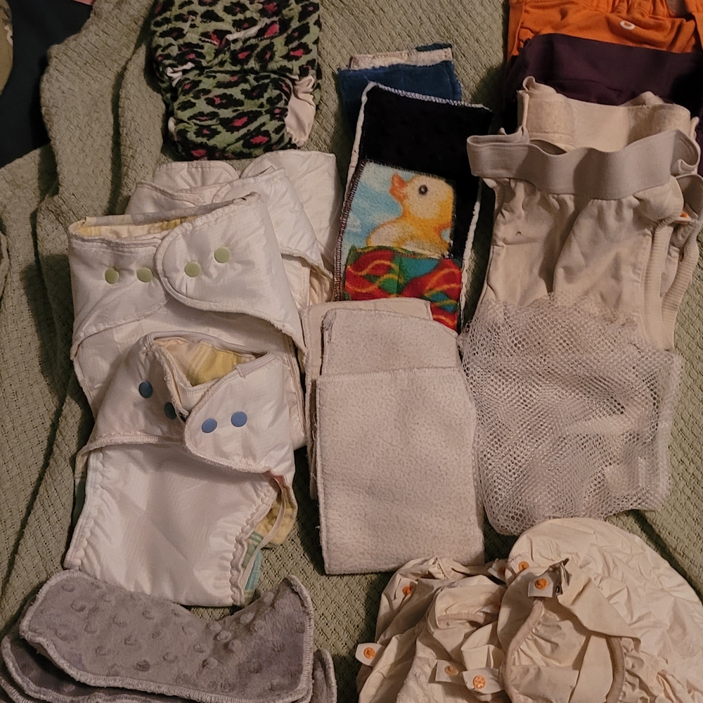 9 Cloth Diapers With Inserts